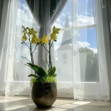 Apartment Gaestehaus Pellinger Hof